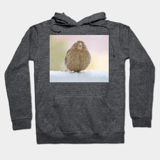 Brown-Headed Cowbird No.1 Hoodie